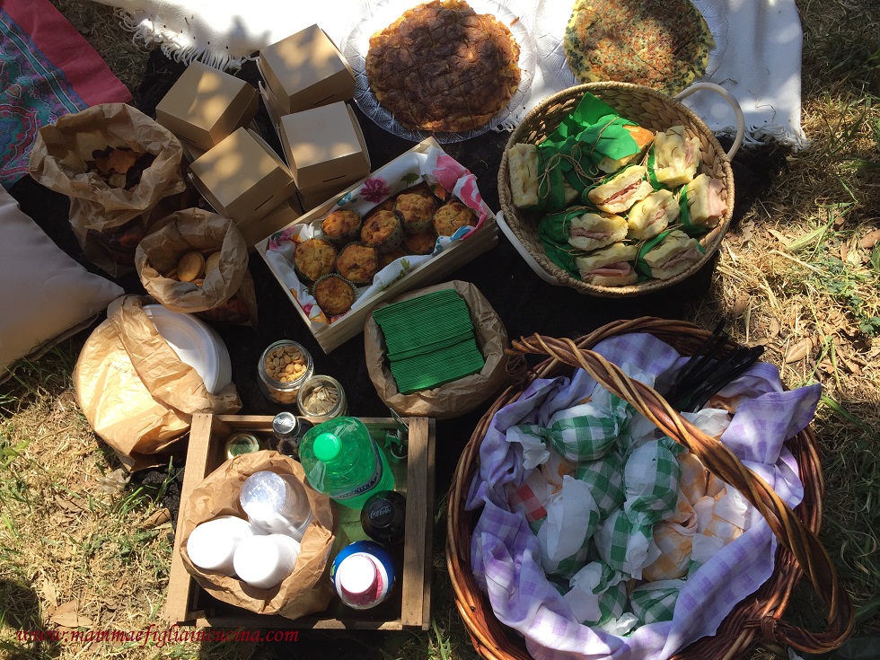 Picnic 7